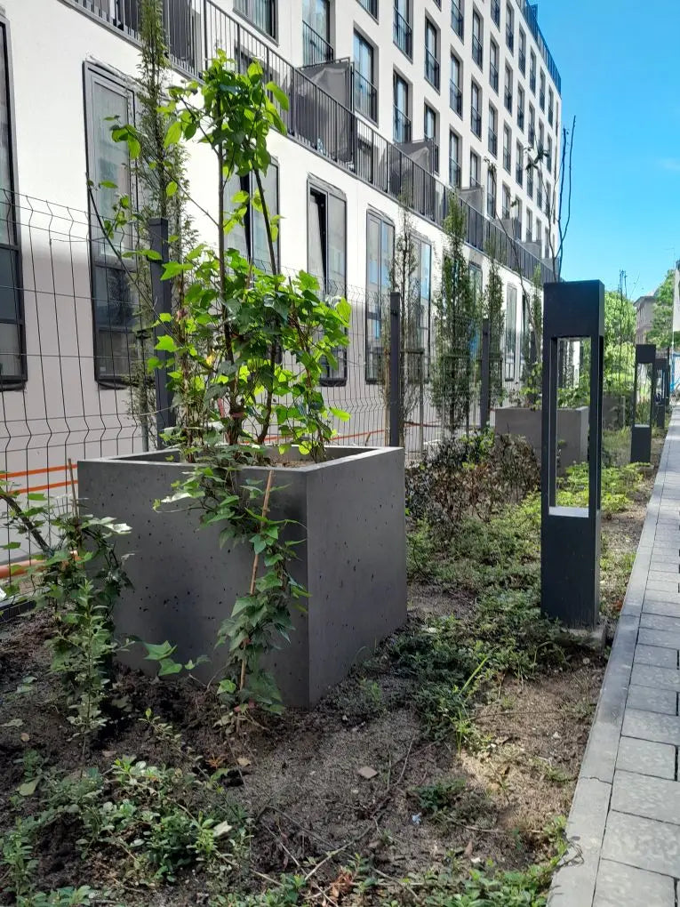 Outdoor Concrete Planters - Rectangle 50x120x50 cm in front of a building Decormania.eu